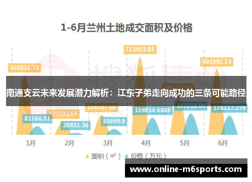 南通支云未来发展潜力解析：江东子弟走向成功的三条可能路径