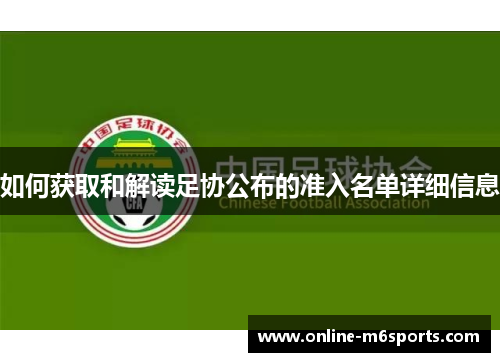 如何获取和解读足协公布的准入名单详细信息