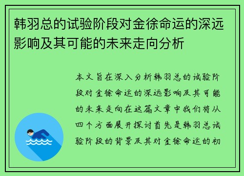 韩羽总的试验阶段对金徐命运的深远影响及其可能的未来走向分析